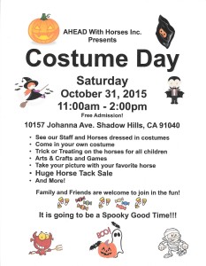 Costume Day Flyer 2015